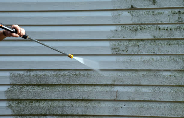 Best Patio and Deck Pressure Washing  in Oregon, WI